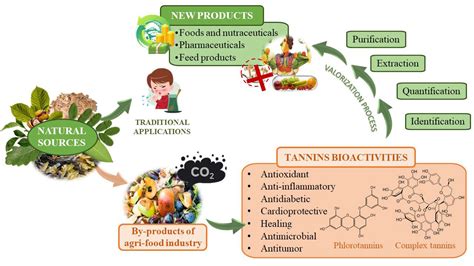  Tannin: Wyjątkowe Właściwości w Przemyśle Spożywczym i Farmaceutycznym!